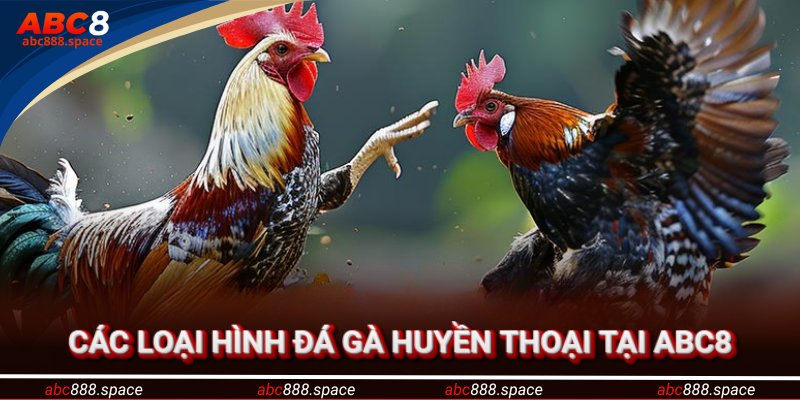 Các loại đá gà huyền thoại tại abc8