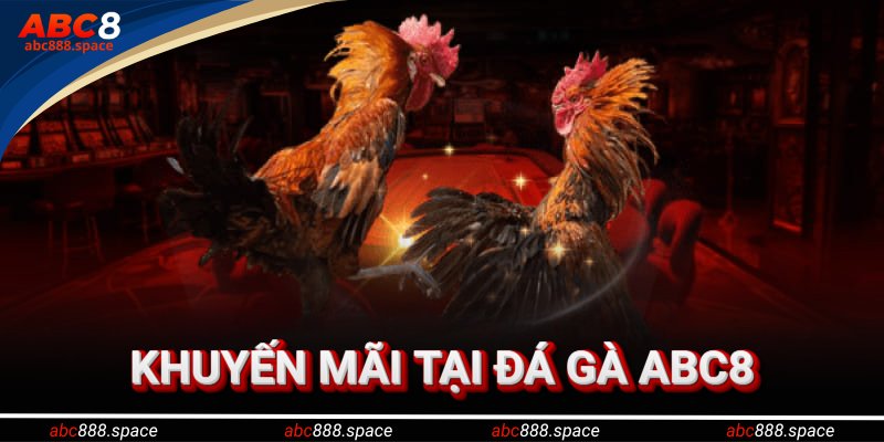 Khuyến mãi tại đá gà ABC8