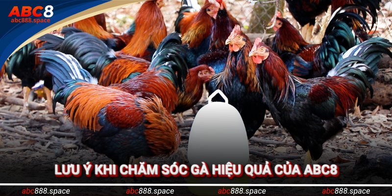 Tránh sai lầm thường gặp, đảm bảo sức khỏe tối ưu
